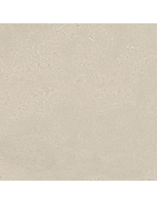 Carrelage effet pierre NOR