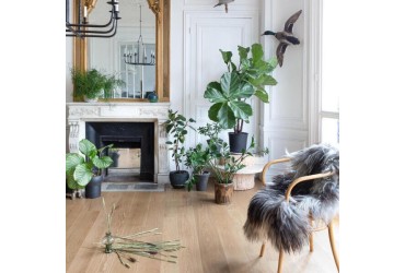 Parquet contrecollé Exclusif Reg Long paquet 8 lames - 2,06m²